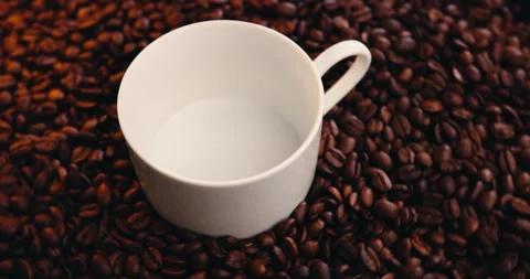 Coffee beans, empty cup and supply chain for manufacturing, hospitality and Stock Footage 325987967