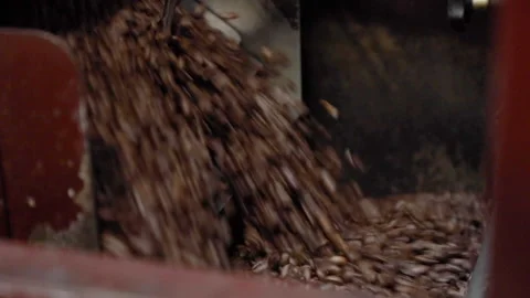Coffee Beans Empty Into Machine At Manufacturing Plant Close Up 스톡 동영상 143757439