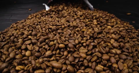 Coffee beans in extreme close up, macro shot Stock Footage 146514458