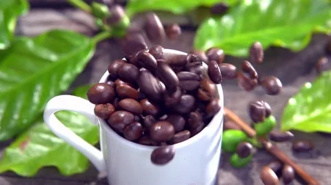 Coffee beans fall into the cup. Video stock 54951710