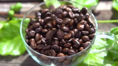 Coffee beans fall into the cup. Video stock 54951723