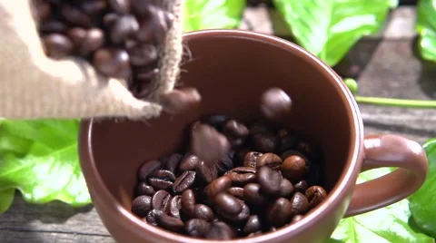 Coffee beans fall into the cup. Video stock 54951805