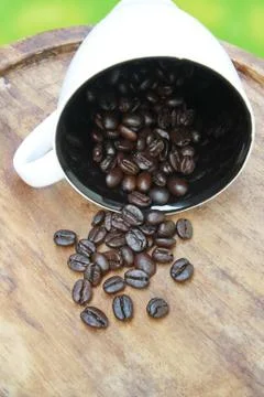 Coffee beans fall from cup Stock Photos