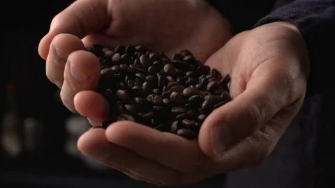 Coffee beans fall in hands in slow motion Stock Footage 115476995