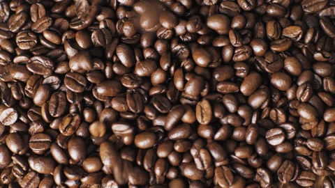 Coffee beans fall into a pile. Fragrant roasted coffee seeds Stock Footage 268990741