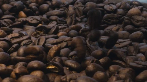 Coffee beans fall on a plate Stock Footage 117398800
