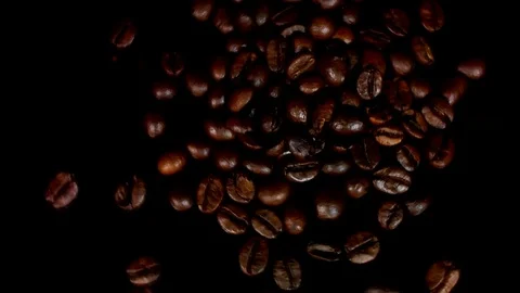 Coffee beans fall. Real motion. Stock Footage 75948025