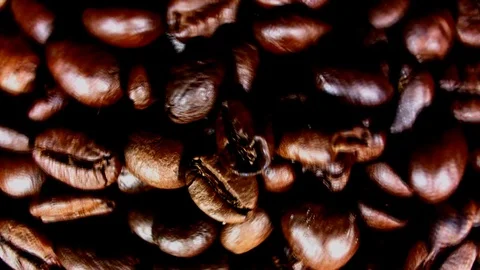 Coffee beans fall. Real motion. Stock Footage 75951068