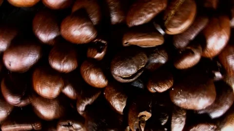 Coffee beans fall. Real motion. Stock Footage 75951376