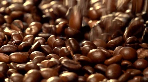 Coffee beans fall. Slow motion. Stock-Footage 55298890