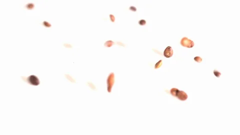 Coffee beans fall on the white table Video stock 105752794