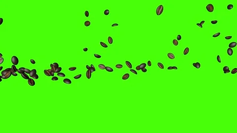 Coffee beans falling 3d animation , green screen chroma key Stock Footage 158628393
