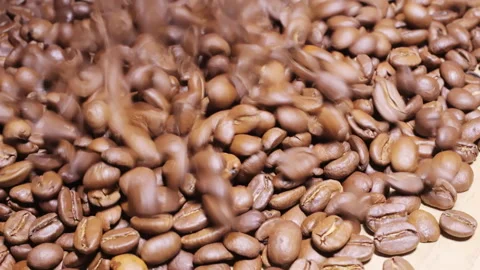 Coffee beans falling and bouncing on a table Stock Footage 291585028