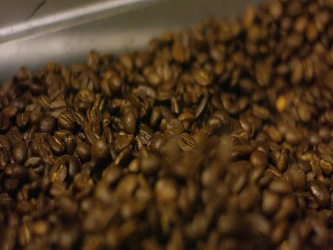 Coffee beans falling and forming a heap 스톡 동영상 83185556