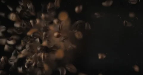 Coffee beans falling from below, slowmotion low angle 4K pro res Stock-Footage 275897452