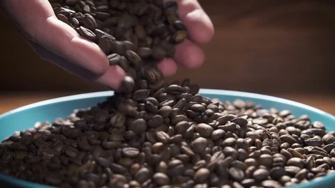 Coffee beans falling to ceramic plate from man's hands, slow motion. Video stock 84037404