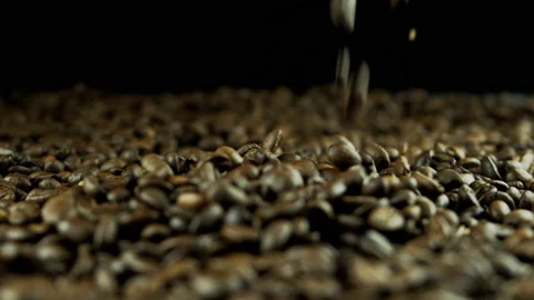 Coffee beans falling. coffee beans are falling from above Stock Footage 188688847