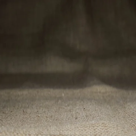 Coffee beans falling down Stock Footage 69584606