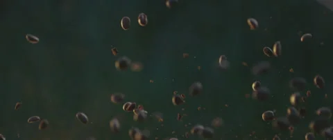 Coffee beans falling down Stock Footage 247382401