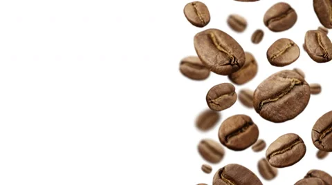 Coffee Beans falling down on white background Stock Footage 46951073