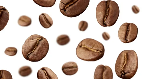 Coffee Beans falling down on white background Stock Footage 46951314
