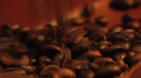 Coffee beans falling Video stock 8679254