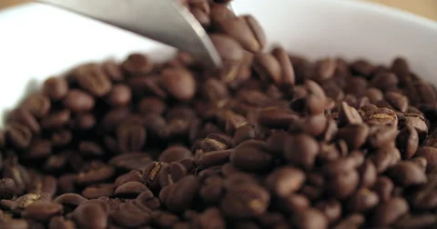 Coffee beans falling Stock Footage 55878742
