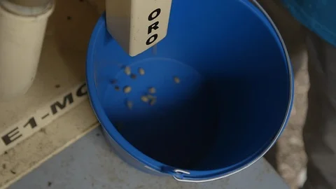 Coffee beans falling Stock Footage 86375902