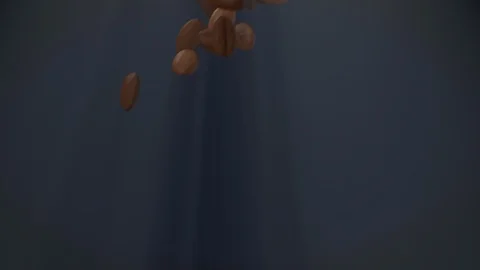 Coffee Beans falling Stock Footage 89015759