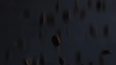 Coffee Beans Falling Stock Footage 109068596