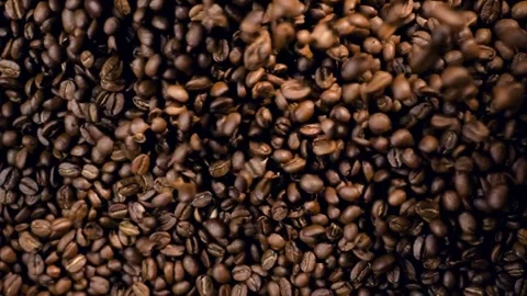 Coffee Beans Falling Stock Footage 291877223