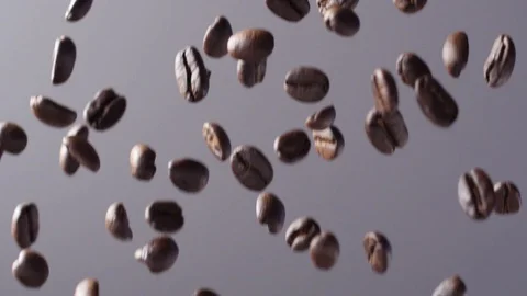 Coffee Beans falling with Gray Background Video stock 99123697