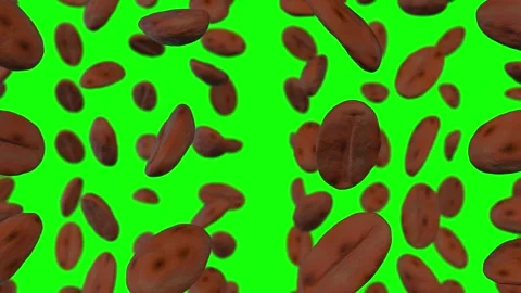 Coffee Beans Falling on a Green Screen Background. 3D Animation. 4K Stock Footage 327220465