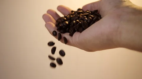 Coffee beans falling from hand in 4K resolution Stock Footage 124038249