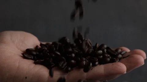 Coffee Beans Falling In Hand Stock Footage 109068644