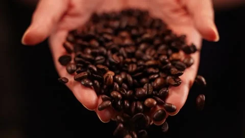 Coffee beans falling from hands on the black background. Stock Footage 145649406