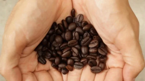 Coffee beans falling from hands Stock Footage 105552571