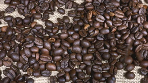 Coffee beans falling on a jute covered table Vidéo 231566692