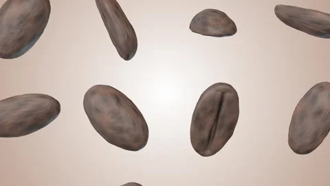 Coffee Beans Falling on a Light Background. Procedular Textured Coffee Beans. 4K Stock Footage 303268669
