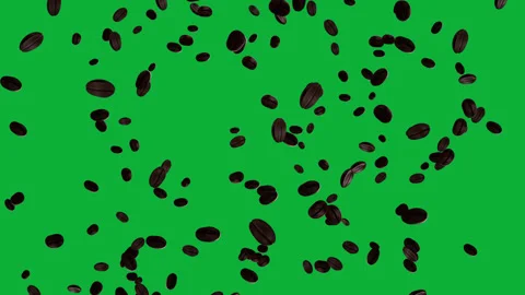 Coffee Beans Falling Loop Animation: Bringing Life to Coffee-related Projects Stock Footage 243621943
