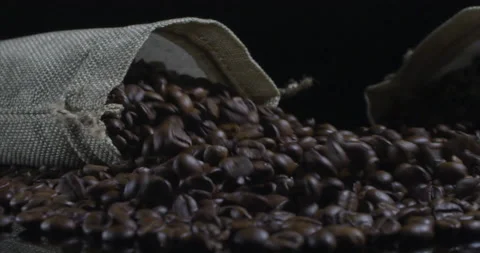 Coffee Beans Falling Macro Close Up 5K RED Gemini Slow Motion Stock Footage 138015331