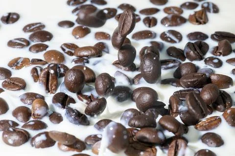 Coffee beans falling on the milk splash. Stock Photos