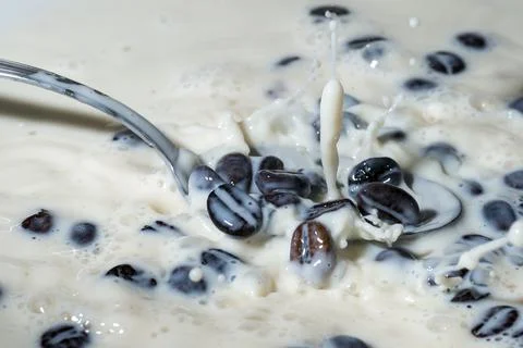 Coffee beans falling on the milk splash. Stock Photos