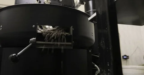 Coffee Beans is falling out In A Manufactory Workshop Stock Footage 77365595