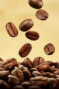 Coffee beans falling Stock Photos
