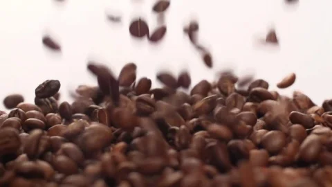 Coffee beans falling pouring  Slow Motion Closeup on White Background Stock Footage 111800955