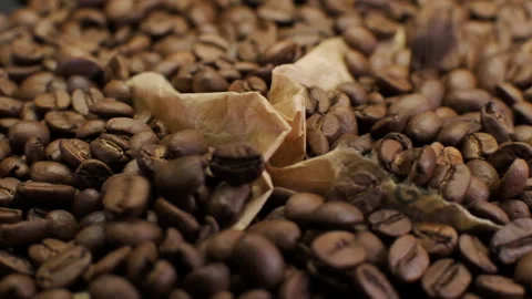 Coffee Beans Falling On Rotating Plate Stock Footage 146827942