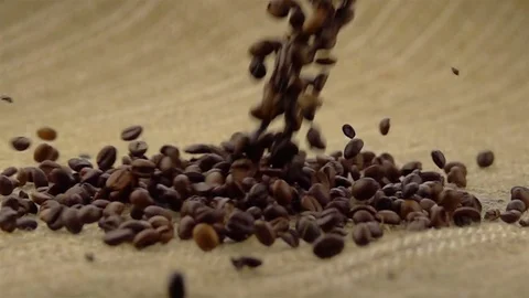 Coffee Beans Falling on the Sack. 库存影片 75659719