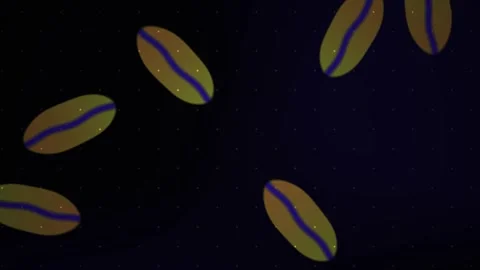 Coffee Beans Falling Seamless Loop Animation on Dark Background with Floati.. Stock Footage 344719491