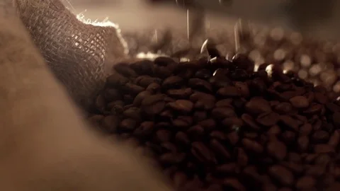 Coffee beans falling in slow motion Stock Footage 76050523